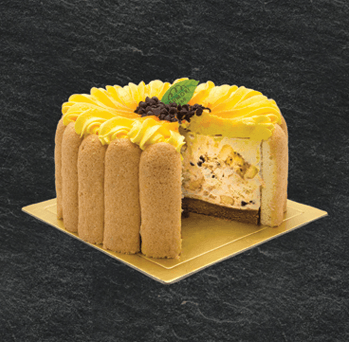 Mini Banana Charlotte (6 inches)